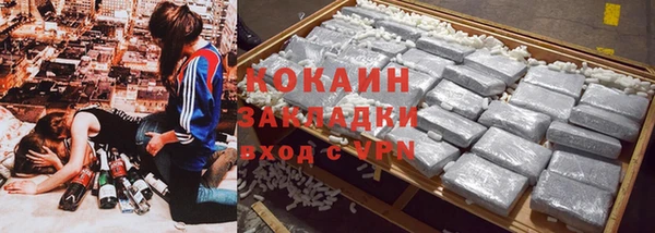 ГАЛЛЮЦИНОГЕННЫЕ ГРИБЫ Новозыбков