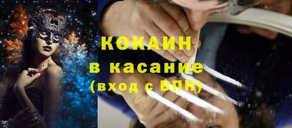 ГАЛЛЮЦИНОГЕННЫЕ ГРИБЫ Новозыбков