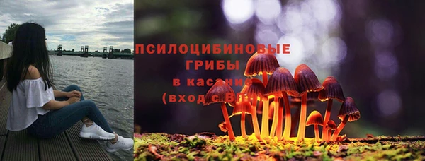 ешки Нея